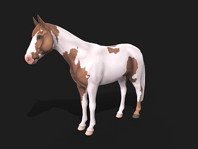 Brown And White Spotted Horse 3D Model Standing On Black Background 3d model