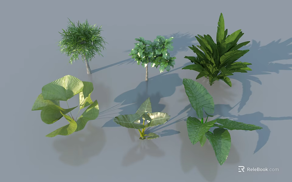 Different Types of Arbor Trees With Green Leaves and Diverse Foliage Shapes 3d model 