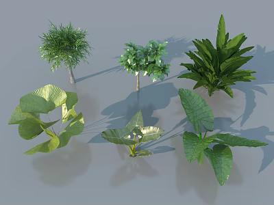 Different Types of Arbor Trees With Green Leaves and Diverse Foliage Shapes 3d model