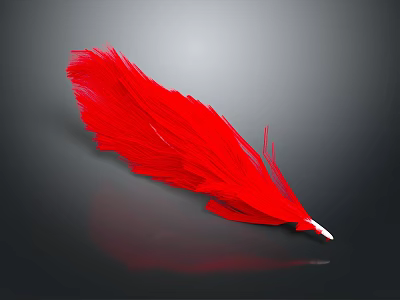 Beautiful Soft Red Feather Lightweight Daily Life Product For Home Decor 3d model