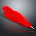 Beautiful Soft Red Feather Lightweight Daily Life Product For Home Decor