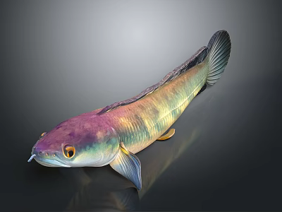 Colorful Iridescent Fish with Purple Green Scales and Streamlined Body on Dark Background 3d model