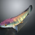 Colorful Iridescent Fish with Purple Green Scales and Streamlined Body on Dark Background