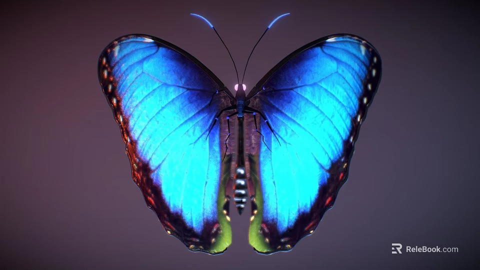 Vibrant Blue Butterfly With Shiny Wings And Colorful Edges In Closeup View 3d model 