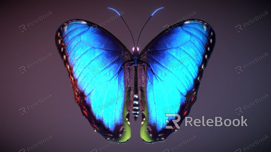 Modern Butterfly model