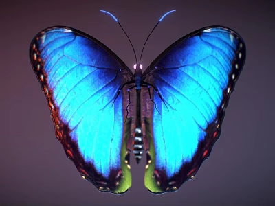 Vibrant Blue Butterfly With Shiny Wings And Colorful Edges In Closeup View 3d model