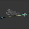 Metallic Green And Blue Dragonfly With Transparent Wings On Gray Background