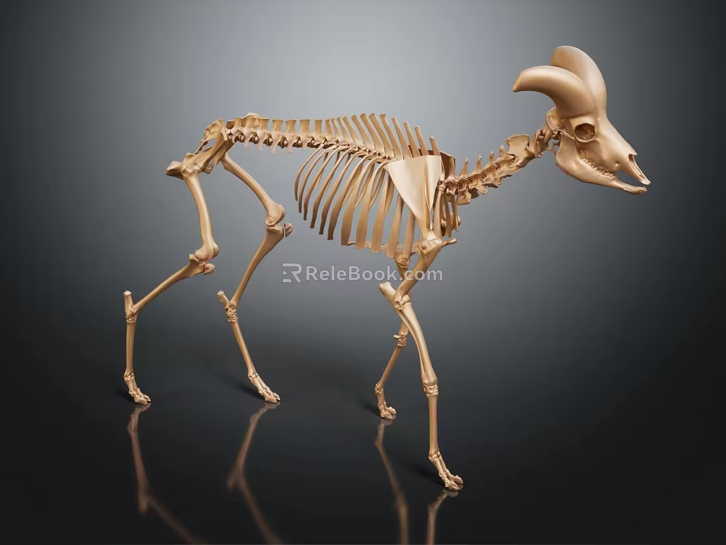 Modern Skeleton Sheep Skeleton Animal Skeleton 3d model