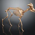 Modern Skeleton Sheep Skeleton Animal Skeleton 3d model