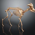 Modern Skeleton Sheep Skeleton Animal Skeleton Skeleton 3d model