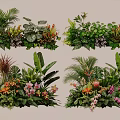Lush Plant Combinations With Tropical Green Leaves Colorful Flowers And Ferns For Decorative Design