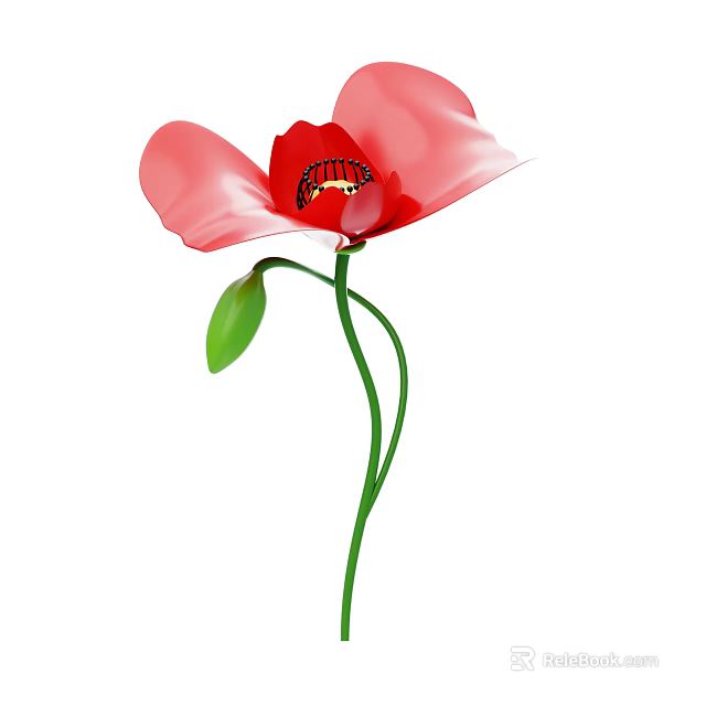 Red Poppy Flower With Vibrant Petals Stamen Green Stem And Leaves 3d model 