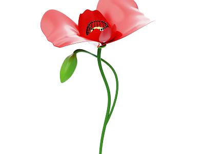 Red Poppy Flower With Vibrant Petals Stamen Green Stem And Leaves 3d model