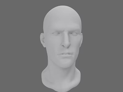 Realistic Male Head 3D Model with White Sculpture and Digital Rendering 3d model