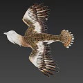 Flying Eagle With Spread Wings Brown White Feathers Detailed Plumage Flight Posture Sharp Claws 3d model