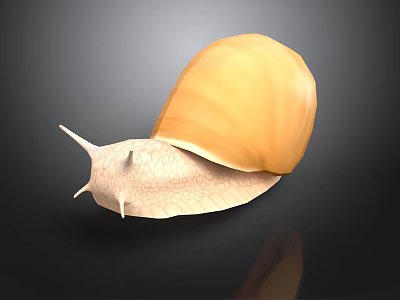 Giant Yellow Snail with White Body and Long Antennae Moving on Dark Shiny Surface 3d model