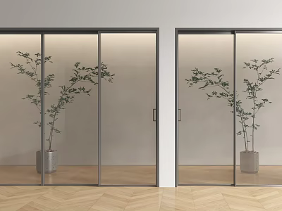 Modern Glass Sliding Doors Interior Design With Potted Plant And Wooden Floor 3d model