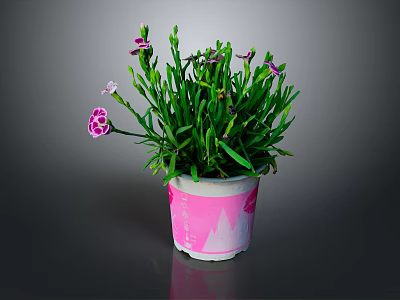 Pink Potted Plant With Green Leaves And Pink Flowers In Decorative Pot 3d model