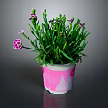 Pink Potted Plant With Green Leaves And Pink Flowers In Decorative Pot