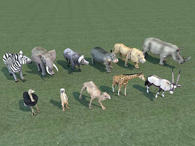 Wild Reptiles Living In Green Grassland With Various Animals Around 3d model