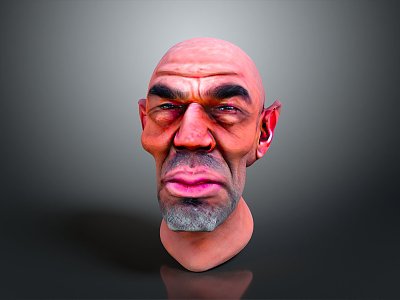 Head Character Portrait Head Various Heads Various Heads Head Carving Head Carving Portrait Face Carving model