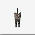 Tabby Cat with Green Eyes Standing in Front View Against Gray Background 3d model