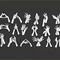 White Human Organ Hand Models Displaying Various Gestures In Studio Setup 3d model