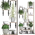 Tiered Wooden Shelving Unit With Potted Plants And Various Decorative Flower Pots