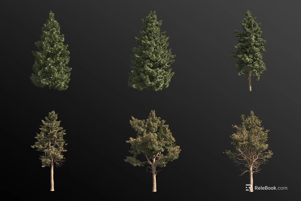 Various Arbor Trees Displaying Diverse Foliage And Growth Forms On Black Background 3d model