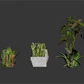 Various Indoor Plants with Different Planters Including White Ceramic and Clay Pots 3d model