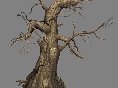 Leafless Deciduous Tree with Thick Trunk Twisted Branches and Rough Bark 3d model