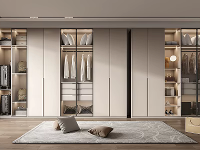 Modern Wardrobe Interior Design With Glass Doors Hanging Rods Drawers And Storage Shelves 3d model
