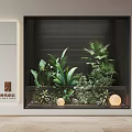 Modern Indoor Greenery Arrangement Featuring Lush Plants Black Frame And Round Lights