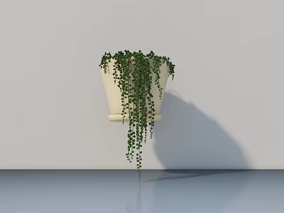 Green Trailing Hanging Potted Plant with Cascading Vines on White Wall and Light Floor Reflection 3d model