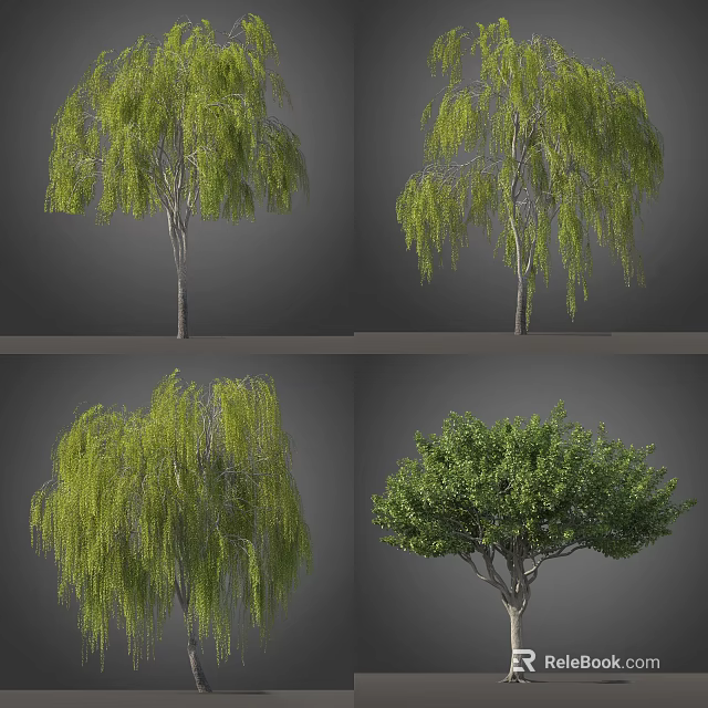 Various Arbor Trees with Green Leaves and Weeping Branches in Different Forms 3d model 