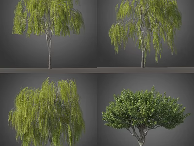 Various Arbor Trees with Green Leaves and Weeping Branches in Different Forms 3d model