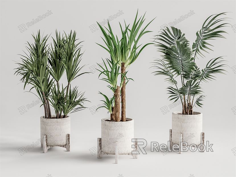 Modern Potted Plant model