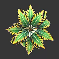 Palm Plant With Green And Yellow Leaves And Brown Trunk On Dark Background