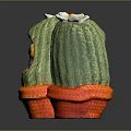 Crocheted Cactus Pots With Adorable Owl Character And Green Plant Design