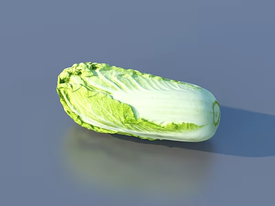 Fresh Green and White Chinese Cabbage on Gray Background with Reflection 3d model