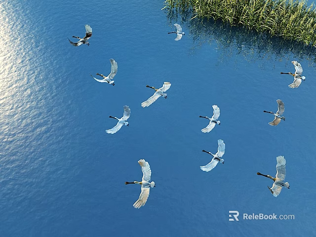 Graceful White Birds Flying Over Sparkling Blue Water Near Green Reeds 3d model 
