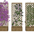 Climbing Vines On Three Wooden Lattice Trellises With Purple Pink and White Flowers