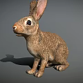 Brown Rabbit With Long Ears Sitting On Gray Background Surface 3d model