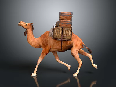 Camel Carrying Stacked Luggage Packs On Its Back While Walking 3d model