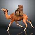 Camel Carrying Stacked Luggage Packs On Its Back While Walking