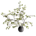 Modern Minimalist Textured Gray Vase with Green Leaves and Berries Branches