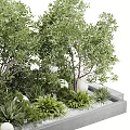 Lush Green Trees in Modern Rectangular Planter with Surrounding Shrubs and Decorative Stones 3d model