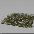 Natural Rustic Groundscape Design With White Stones Green Grass And Plants