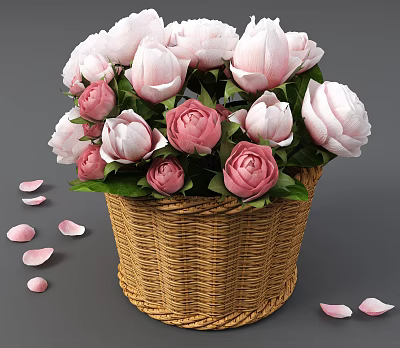 Beautiful Pink And White Peony Flowers In Wicker Basket With Scattered Petals 3d model