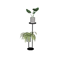 Indoor Potted Plants On Two Tier Black Stand With Gray Pots And Fern